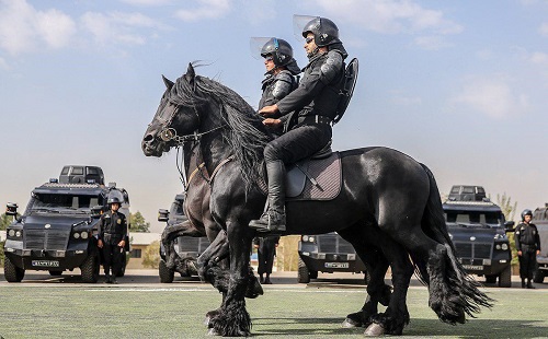 پلیس اسب سوار