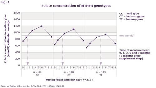 متافولین سطح کلسترول مناسب برای همه زنان را تضمین می کند.